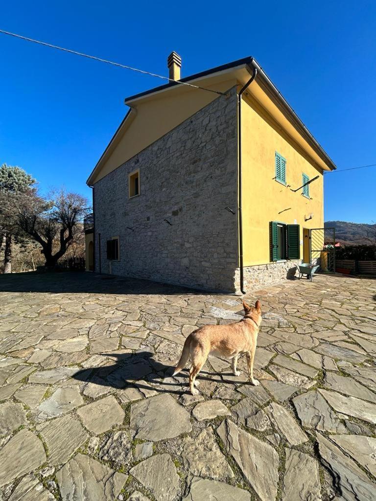 Il Gelso Konuk evi Trivigno Dış mekan fotoğraf